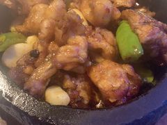 石锅杭椒牛蛙-桂满陇天书(南京德基旗舰店)