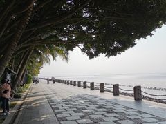 -深圳湾公园(南山区)