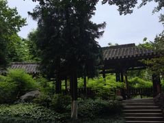 -龙头寺公园