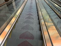 -华豫川酒家(大卫城店)