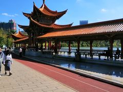 -洛龙公园