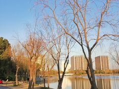 -南翔镇银翔湖公园