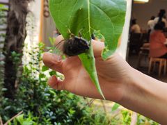 -阿木舂记·特色小吃(平江路店)