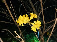 -福道