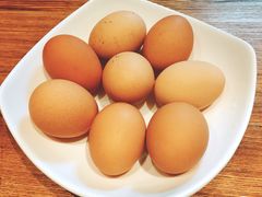 -看见远方·莫干遥远的山民宿