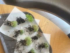 -励步儿童成长中心·英语启蒙·剑桥考级·KET(八佰伴校区)