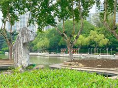 -红梅公园