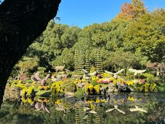 -杭州植物园