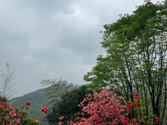 -莫干山风景区