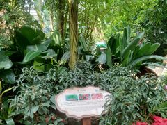 -南山植物园