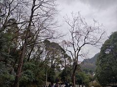 -黔灵山公园