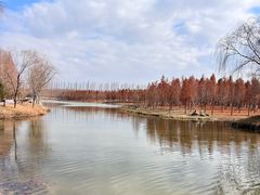 -黄海国家森林公园