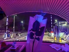 -枫花园汽车电影院(朝阳公园店)