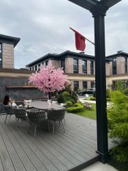 -杭州奥拉克医疗美容门诊部