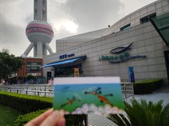 -上海海洋水族馆