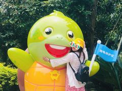 -广东惠东海龟国家级自然保护区