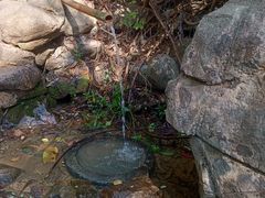 -水濂山森林公园