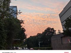 -淡马茶坊(深圳宝安壹方城店)