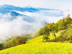 -石潭村