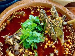 -青城甲(青城山店)