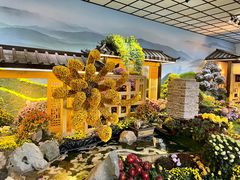 -杭州植物园