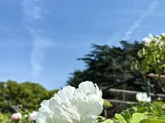 -尚湖风景区