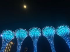 -徽园