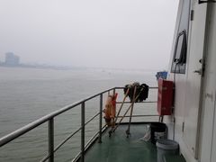 -武汉关码头(轮渡站)