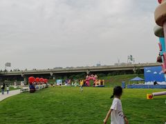 -秀丽东方