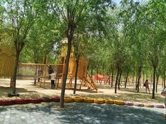 -西部长青自然儿童乐园