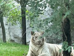 -北京野生动物园