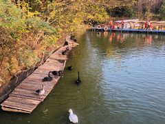 -艾溪湖湿地公园