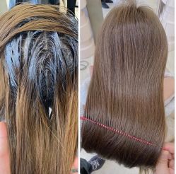 -IP SALON
