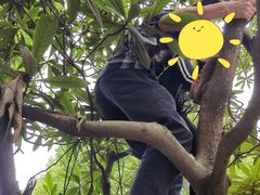 -塘栖枇杷特色园区