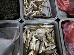 溪鱼-亭下湖饭店(康岭店)