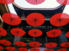 -武汉园博园(武汉自然博物馆)