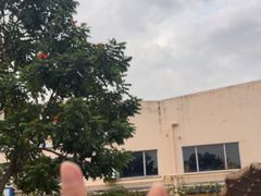 -DGE季风钓虾营地·团建·聚会