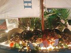 -亚龙湾希尔顿自助餐厅·海鲜·烧烤·沙滩BBQ·现场乐队