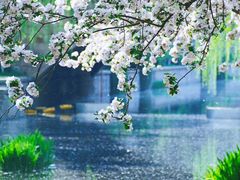 -海棠花溪(元大都城垣遗址公园)