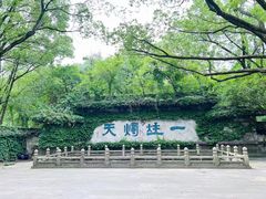 -鲁镇