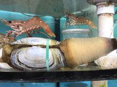-鲤鱼门海鲜街