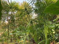 -重庆彩云湖湿地公园