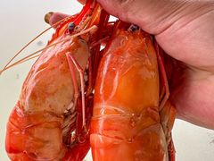 -水岸居湖景农家乐·阳澄湖大闸蟹