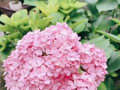 -往来·竹里.宝宝宴.生日宴.团建.宴席(花乡农居店)