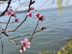 -浙江西子宾馆·牡丹厅