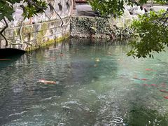 -都江堰景区