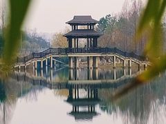-洋湖国家湿地公园