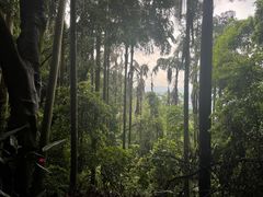 -白云山风景名胜区