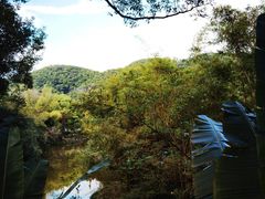 -大屏嶂森林公园
