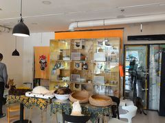 -平行世界·猫咖(首经贸店)